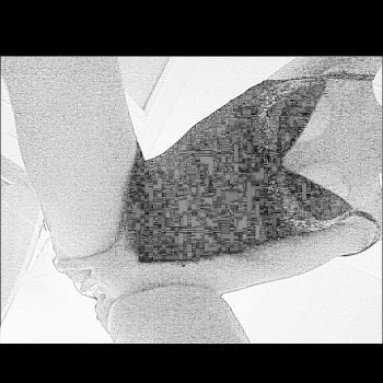 Profil de Léonore, 40 ans, Pute à Rockglen