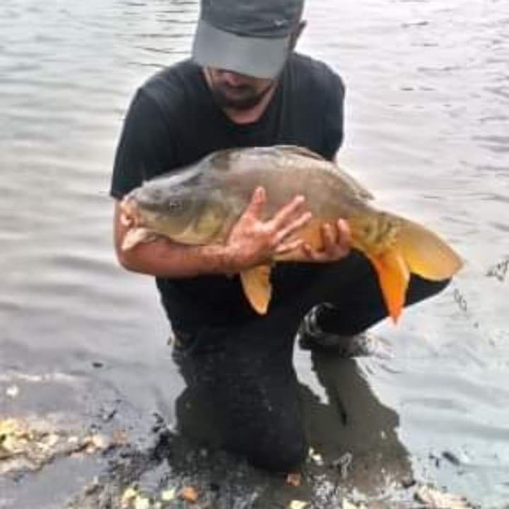 Profil de Allen, 38 ans, Pute à Belfast