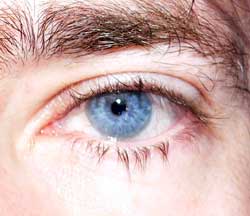 Profil de Gani, 50 ans, Pute à Saint-Valère