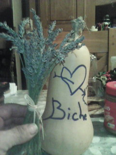 Profil de Adams, 55 ans, Pute à Chestermere