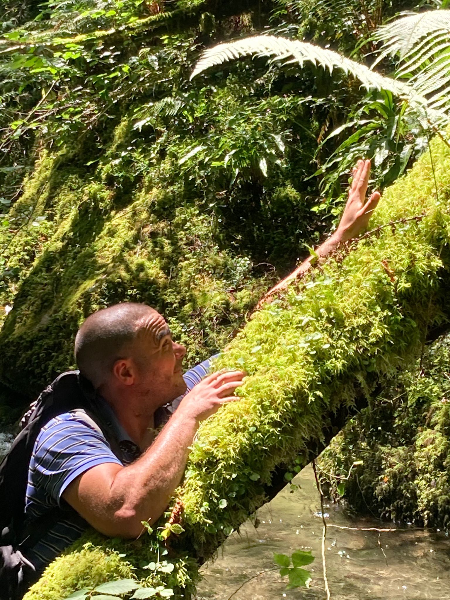 Profil de Mehdi, 39 ans, Pute à Waterville