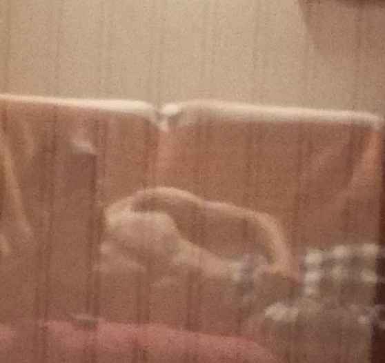 Profil de Yann-erwan, 23 ans, Pute à Bladworth