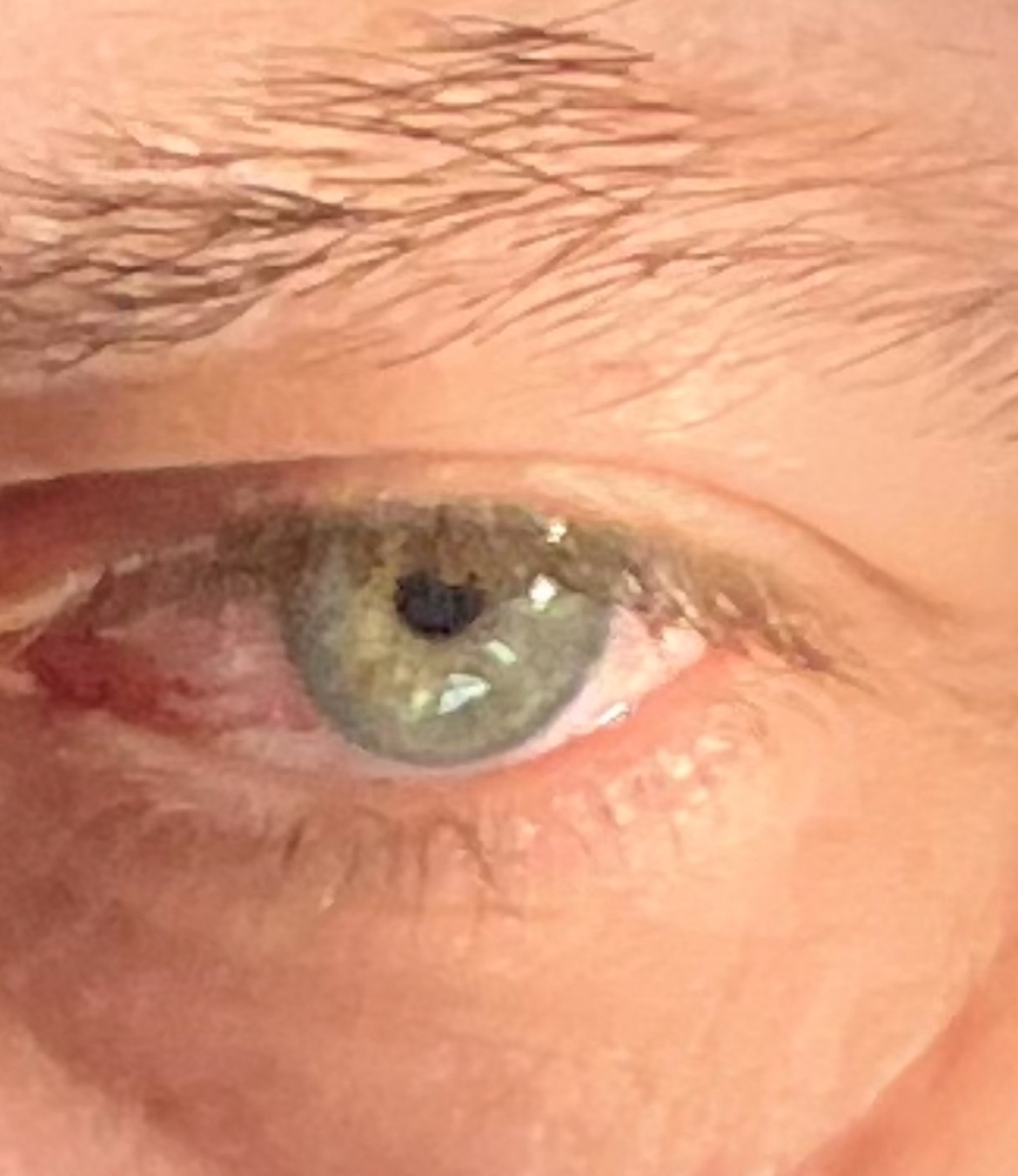 Profil de Rayen, 55 ans, Pute à Saint-Valère