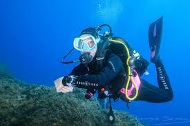 Profil de Elazar, 54 ans, Pute à Brigham